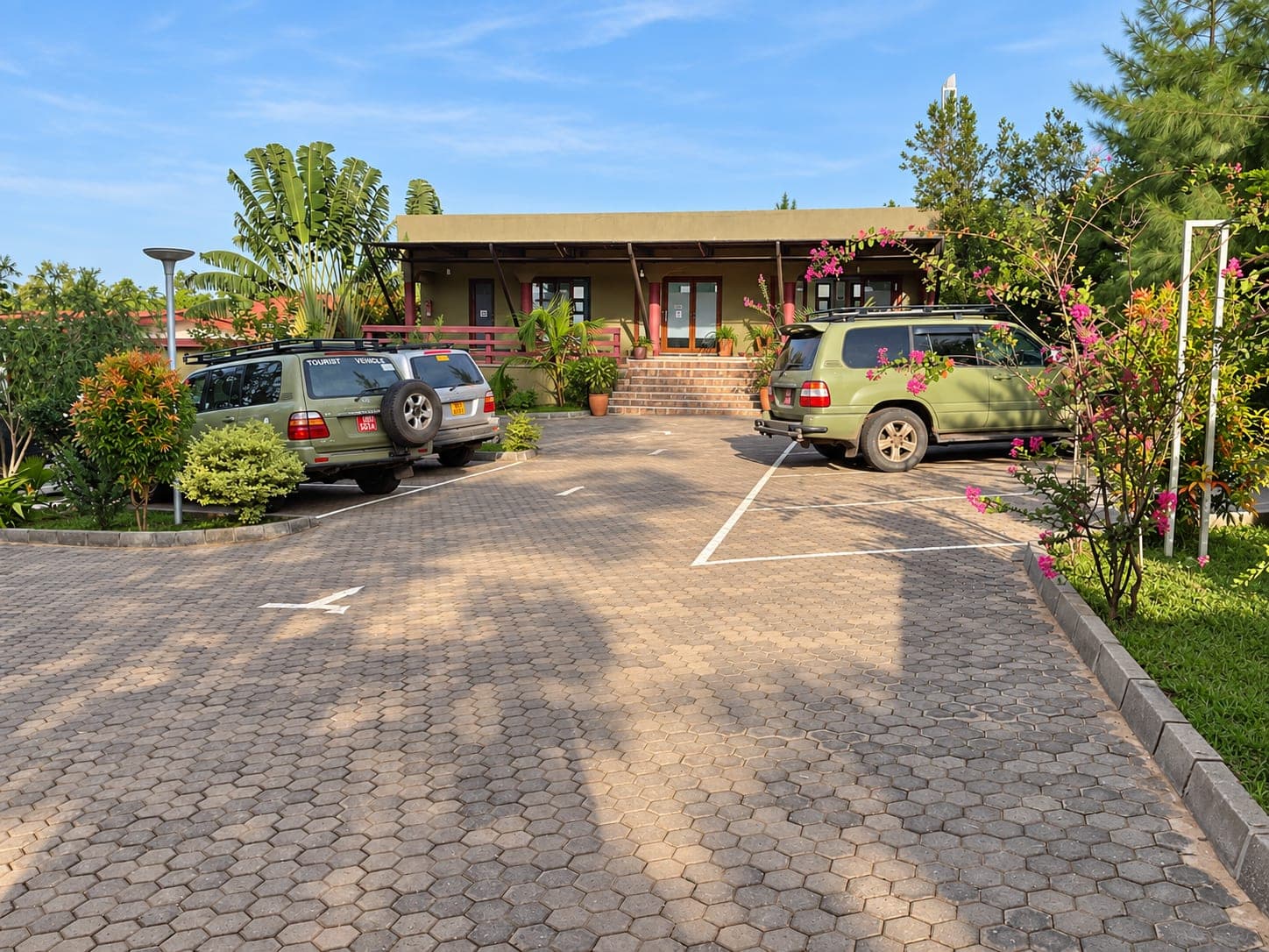 The lodge driveway and parking area among the trees